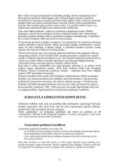 Tarptautinės ginkluoto konflikto teisės laikymasis ir plėtra 6 puslapis