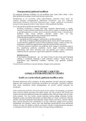 Tarptautinės ginkluoto konflikto teisės laikymasis ir plėtra 7 puslapis