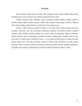 Teisėkūros (juridinė) technika 11 puslapis