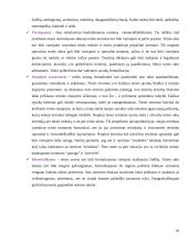 Teisėkūros (juridinė) technika 10 puslapis