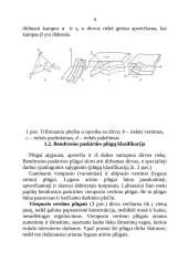 Plūgai ir dirvos apdirbimas 2 puslapis