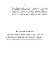 Plūgai ir dirvos apdirbimas 14 puslapis