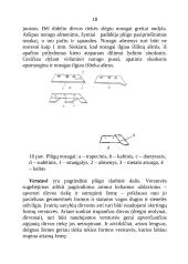 Plūgai ir dirvos apdirbimas 16 puslapis