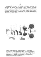 Plūgai ir dirvos apdirbimas 20 puslapis