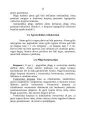 Plūgai ir dirvos apdirbimas 10 puslapis