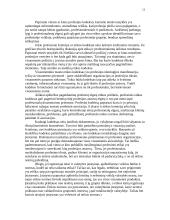 Profesinė bibliotekininko etika 13 puslapis