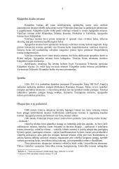 Teisinės institucijos 3 puslapis