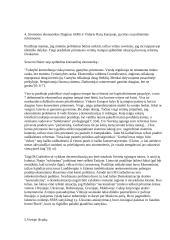 SSRS istorija ir Šaltasis karas 4 puslapis