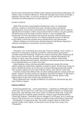 Šunų ligos 4 puslapis