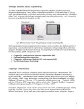 Tikslios ekspozicijos nustatymas