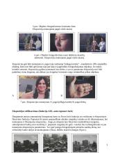 Tikslios ekspozicijos nustatymas 3 puslapis