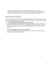 Tikslios ekspozicijos nustatymas 4 puslapis