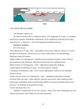 Tuberkuliozė. Tuberkuliozės mikobakterija (Mycobacterium tuberculosis) 14 puslapis