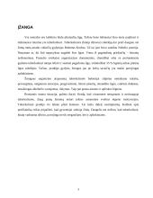 Tuberkuliozė. Tuberkuliozės mikobakterija (Mycobacterium tuberculosis) 3 puslapis