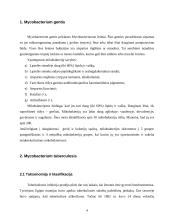 Tuberkuliozė. Tuberkuliozės mikobakterija (Mycobacterium tuberculosis) 4 puslapis