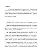 Tuberkuliozė. Tuberkuliozės mikobakterija (Mycobacterium tuberculosis) 7 puslapis