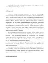 Tuberkuliozė. Tuberkuliozės mikobakterija (Mycobacterium tuberculosis) 8 puslapis