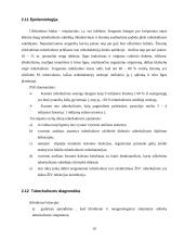 Tuberkuliozė. Tuberkuliozės mikobakterija (Mycobacterium tuberculosis) 10 puslapis