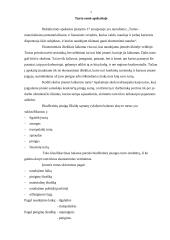 Turtas apskaitoje, nuosavas kapitalas 2 puslapis