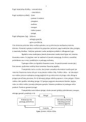 Turtas apskaitoje, nuosavas kapitalas 3 puslapis