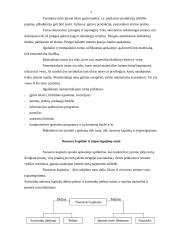 Turtas apskaitoje, nuosavas kapitalas 4 puslapis