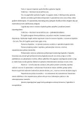 Turtas apskaitoje, nuosavas kapitalas 5 puslapis