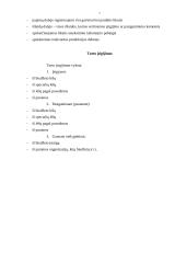 Turtas apskaitoje, nuosavas kapitalas 7 puslapis