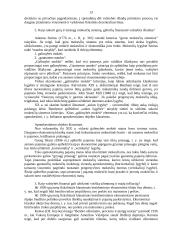 Išsami valstybės finansų teorija 13 puslapis
