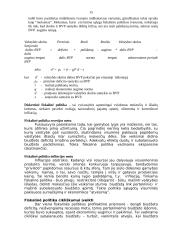 Išsami valstybės finansų teorija 15 puslapis