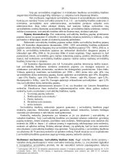 Išsami valstybės finansų teorija 20 puslapis
