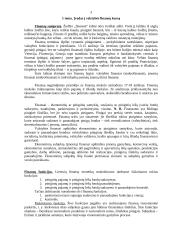 Išsami valstybės finansų teorija 3 puslapis