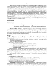 Išsami valstybės finansų teorija 4 puslapis