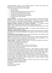 Išsami valstybės finansų teorija 6 puslapis