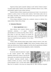 Uolienose išlikusios organinės liekanos 5 puslapis