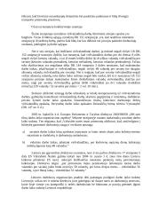 Viršvalandinių darbų reglamentavimas 3 puslapis