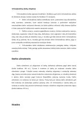 Viršvalandinių darbų reglamentavimas 5 puslapis