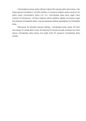 Viršvalandinių darbų reglamentavimas 6 puslapis