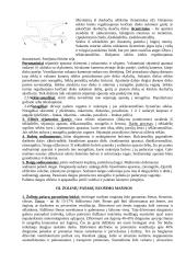 Žemės ūkio mašinos 3 puslapis