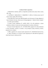 Užsienio teismų sprendimų pripažinimas ir vykdymas kitoje šalyje 16 puslapis