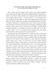 Užsienio teismų sprendimų pripažinimas ir vykdymas kitoje šalyje 5 puslapis