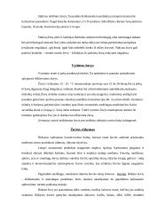 Žuvys ir žuvies mėsa 3 puslapis