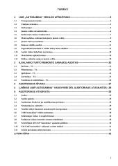 2004 metų finansinės atskaitomybės auditas: UAB "Autosabina" 2 puslapis