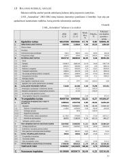 2004 metų finansinės atskaitomybės auditas: UAB "Autosabina" 11 puslapis