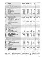 2004 metų finansinės atskaitomybės auditas: UAB "Autosabina" 12 puslapis