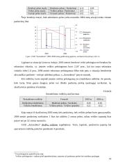 2004 metų finansinės atskaitomybės auditas: UAB "Autosabina" 14 puslapis