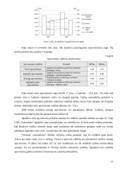 2004 metų finansinės atskaitomybės auditas: UAB "Autosabina" 15 puslapis