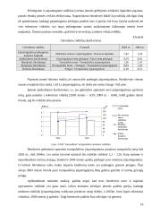 2004 metų finansinės atskaitomybės auditas: UAB "Autosabina" 16 puslapis