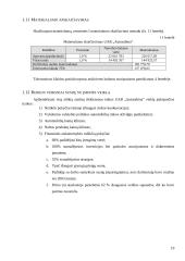 2004 metų finansinės atskaitomybės auditas: UAB "Autosabina" 19 puslapis