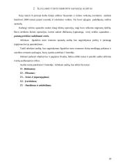 2004 metų finansinės atskaitomybės auditas: UAB "Autosabina" 20 puslapis