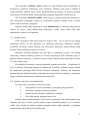 2004 metų finansinės atskaitomybės auditas: UAB "Autosabina" 4 puslapis